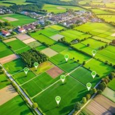Agricultural Properties